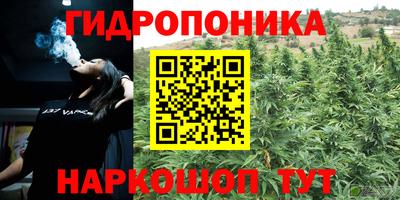прущие крисы Кунгур