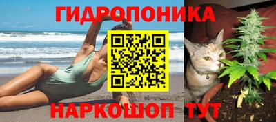 прущие крисы Кунгур