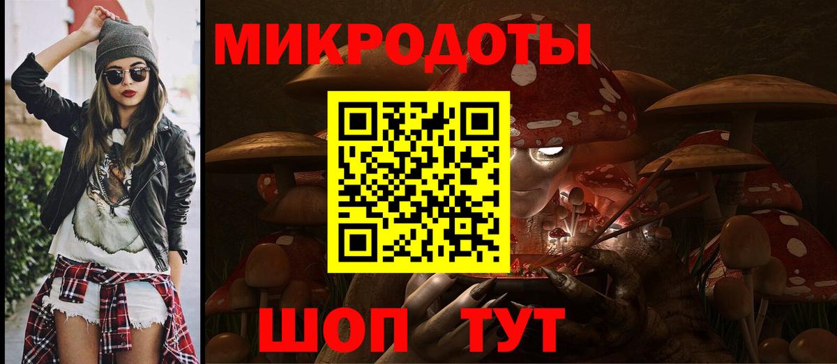 Черногорск  Псилоцибиновые грибы прущие грибы  Вход с VPN 