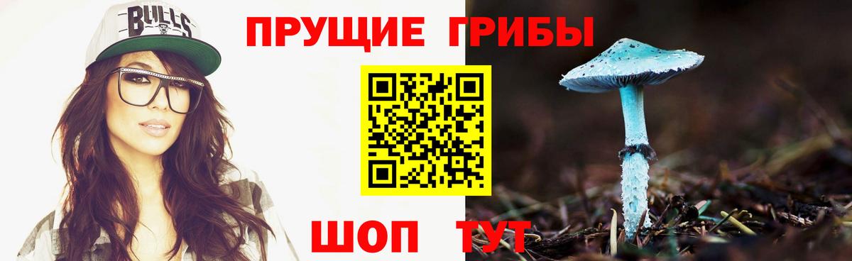 Галлюциногенные грибы ЛСД Черногорск